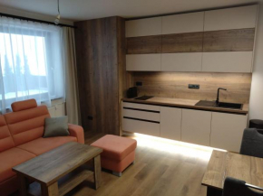 Apartman terasa v Dole, Černý Důl
